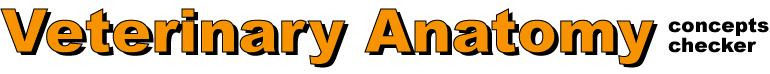 page banner
