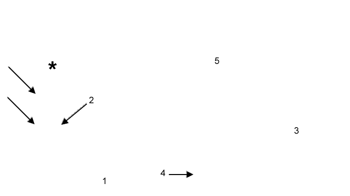 labels