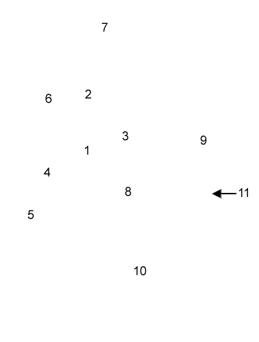 labels