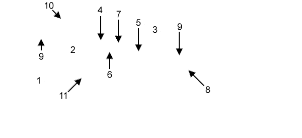 labels