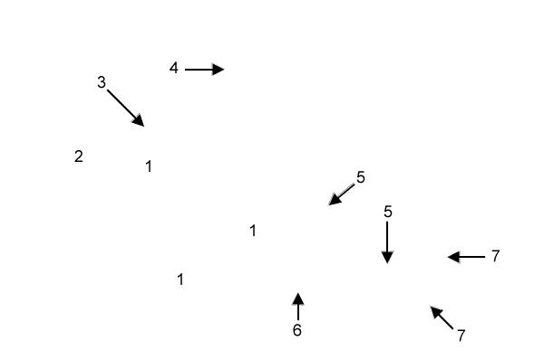 labels