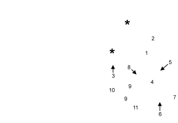 labels