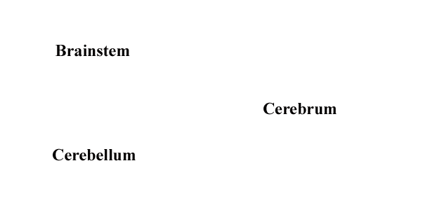 Specimen image