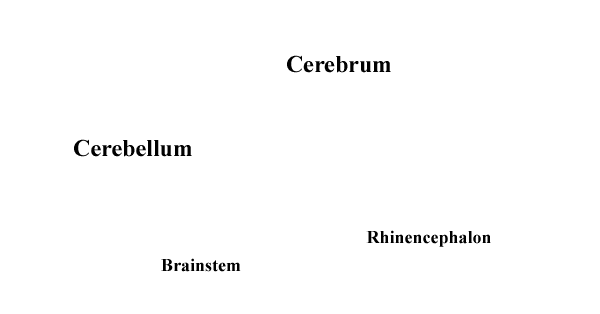 Specimen image