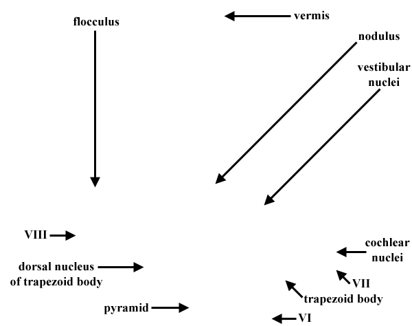 Specimen image