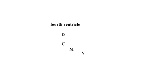 Specimen image