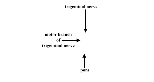 Specimen image