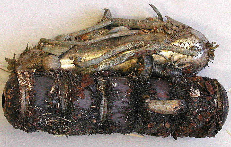 cadaver image